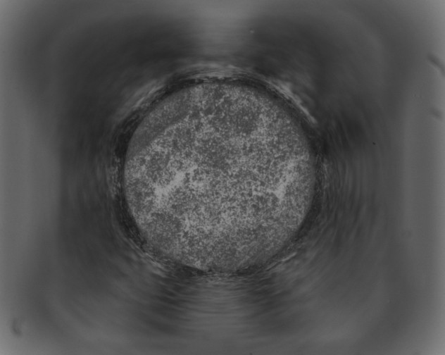 X0000091371399200709071315