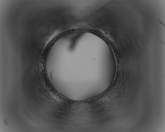 X0000091371400200709071315