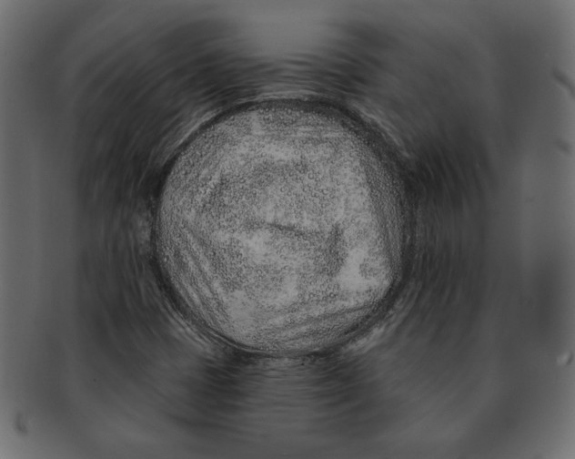 X0000091371401200709071315