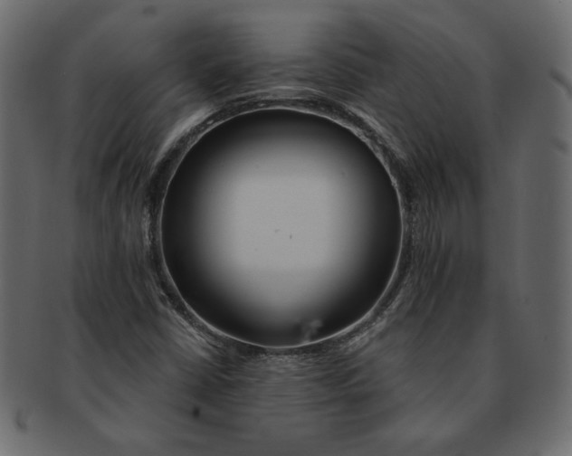 X0000091371402200709071315