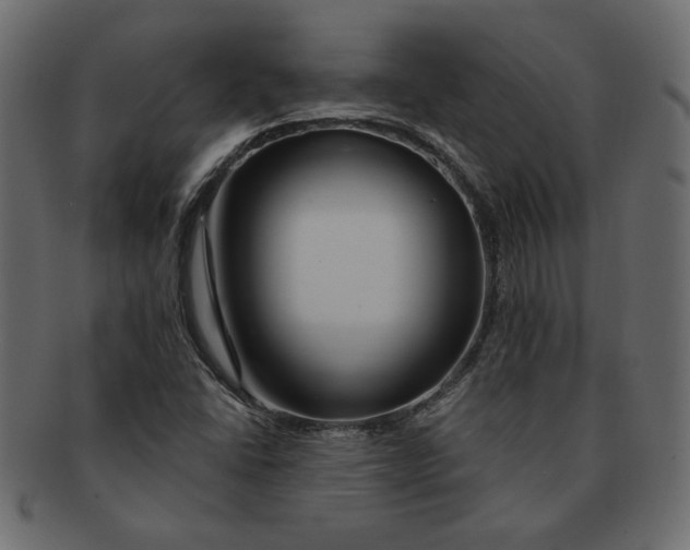 X0000091371406200709071315