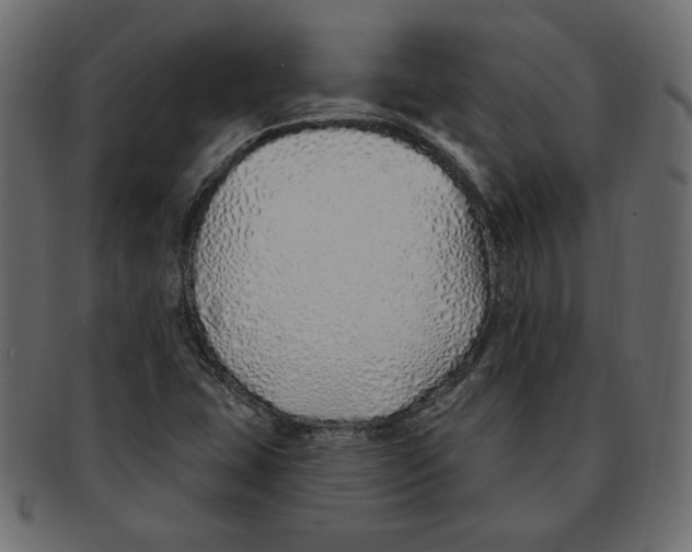 X0000091371407200709071315