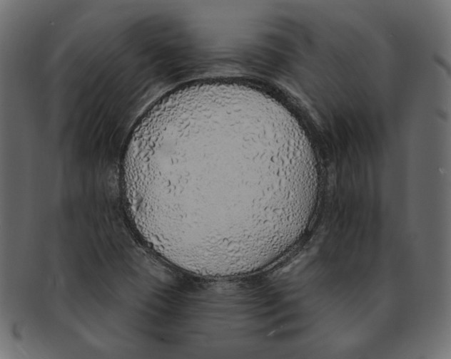 X0000091371409200709071315