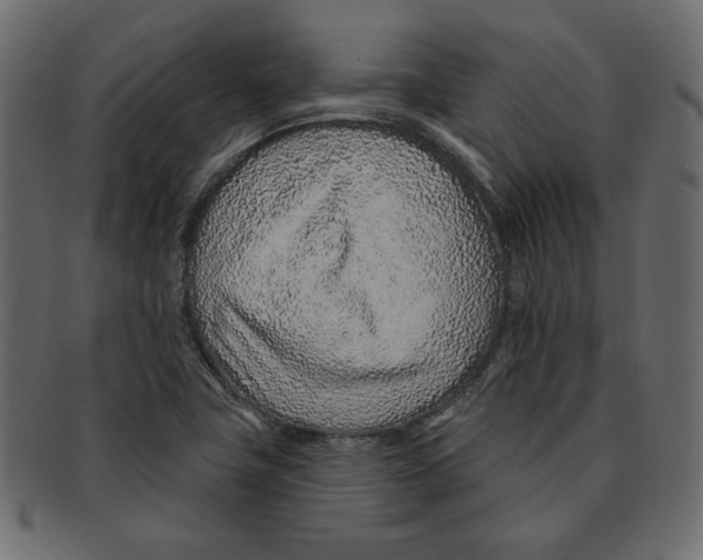 X0000091371411200709071315