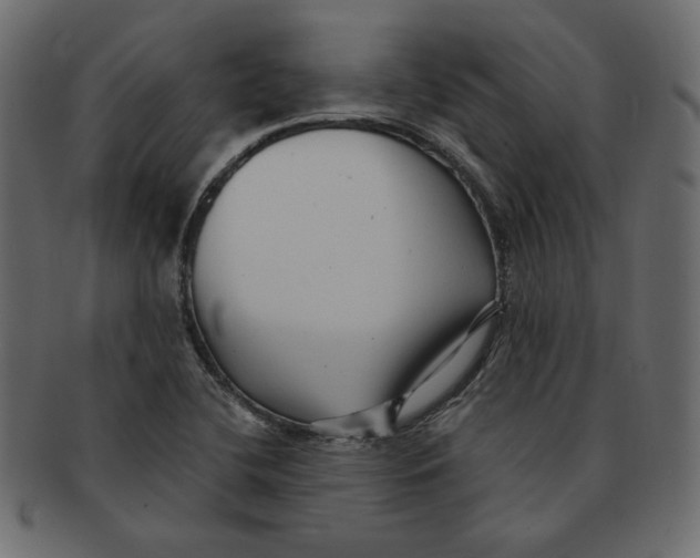 X0000091371412200709071315