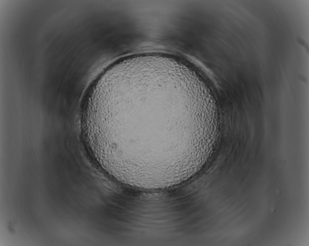 X0000091371415200709071315