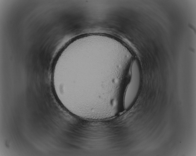 X0000091371416200709071316