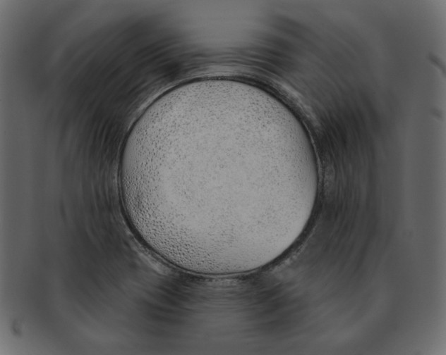 X0000091371417200709071316