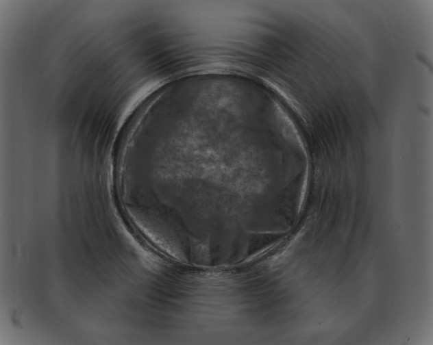 X0000091371418200709071316