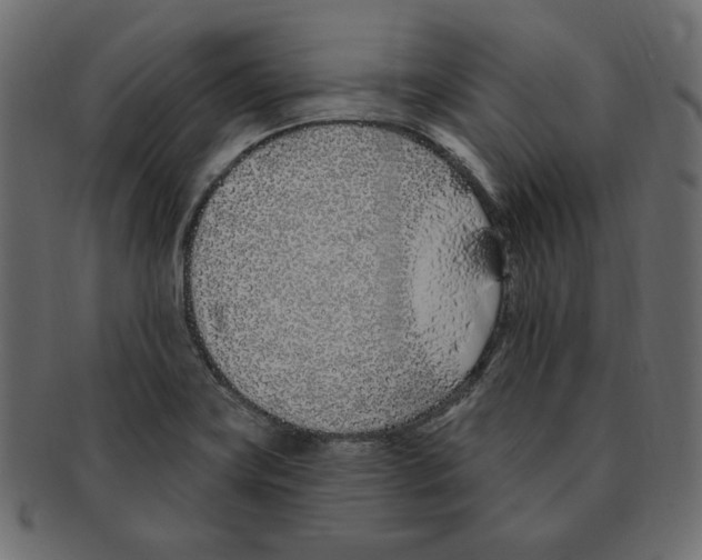 X0000091371419200709071316