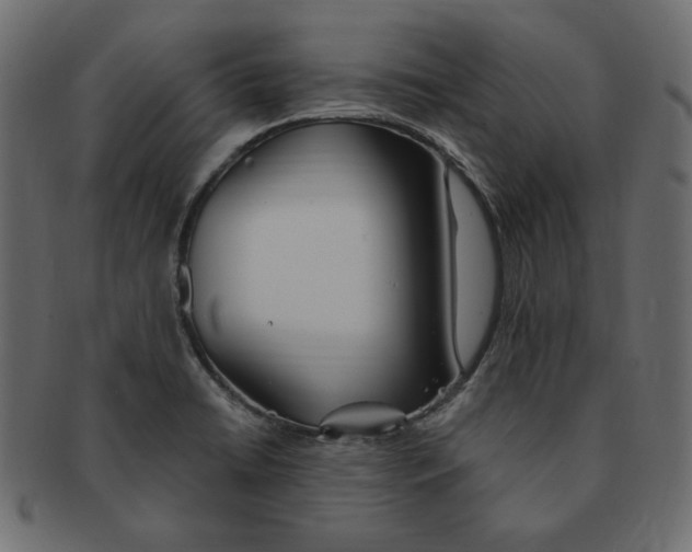 X0000091371422200709071316