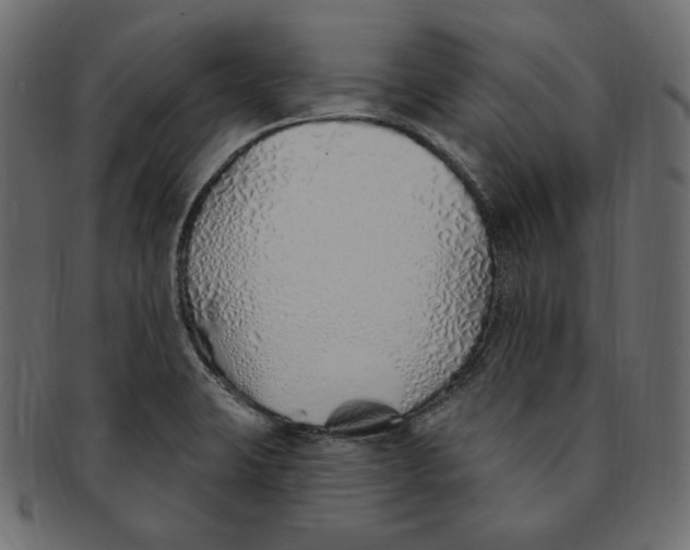 X0000091371423200709071316