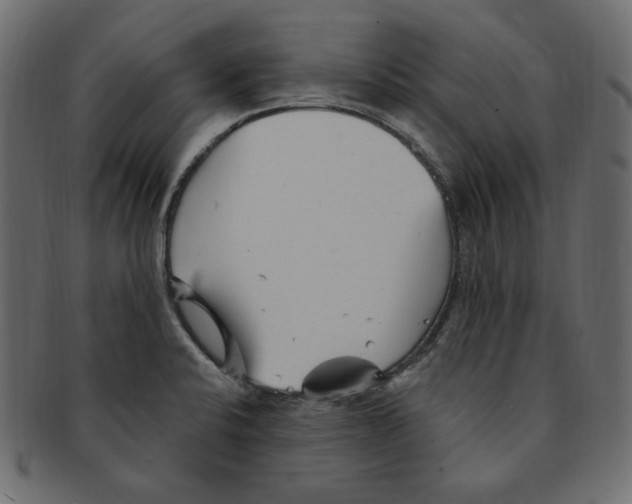 X0000091371424200709071316