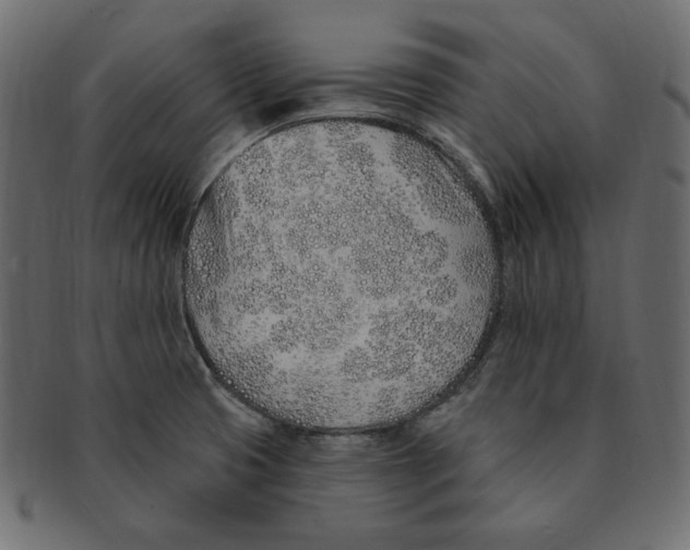 X0000091371425200709071316