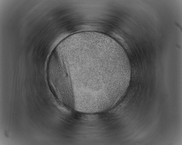 X0000091371427200709071316