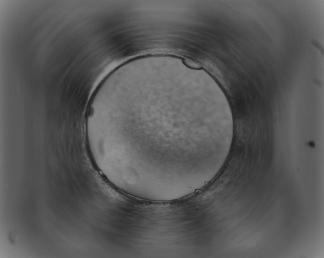 X0000091371428200709071316