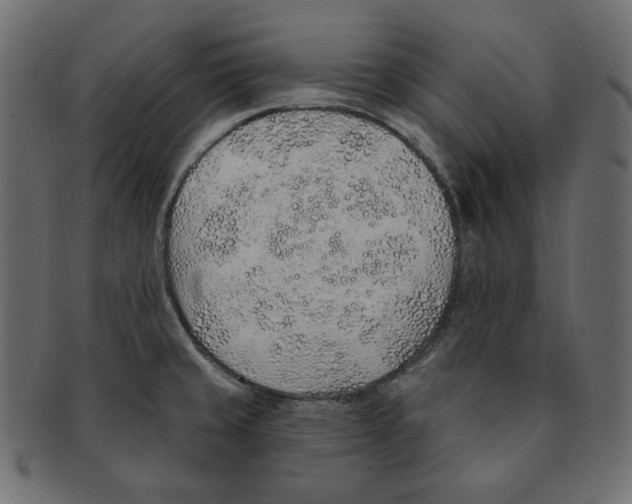 X0000091371429200709071316