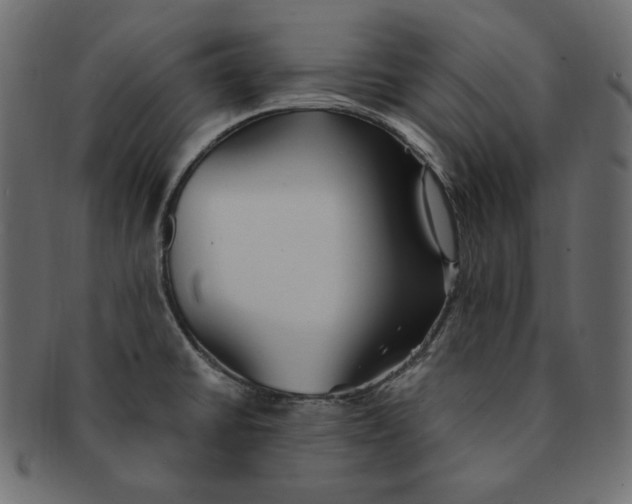 X0000091371430200709071316