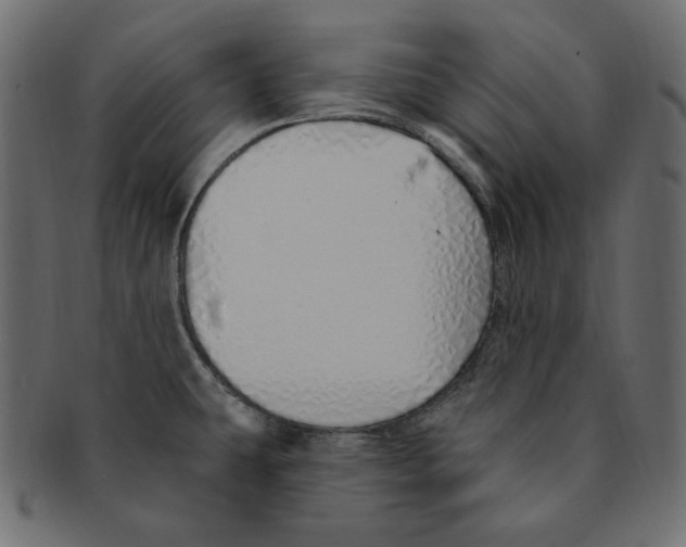 X0000091371431200709071316