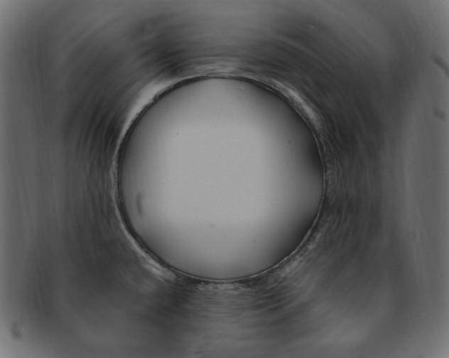 X0000091371432200709071316