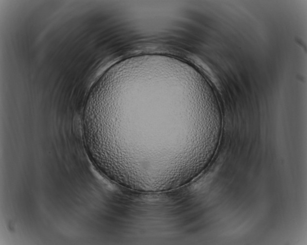 X0000091371433200709071316