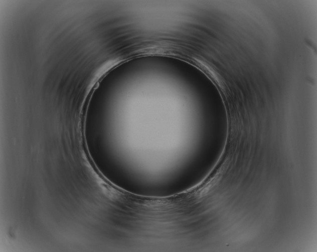 X0000091371434200709071316