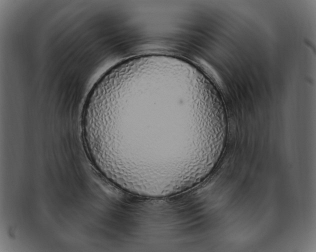 X0000091371435200709071316