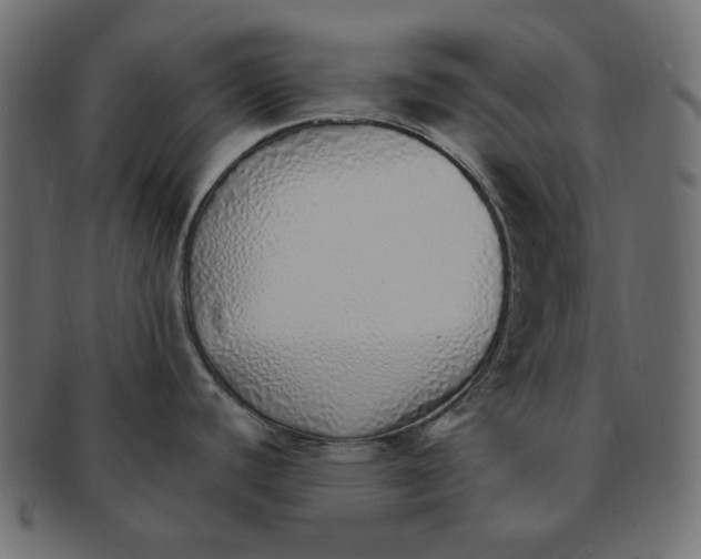 X0000091371440200709071316