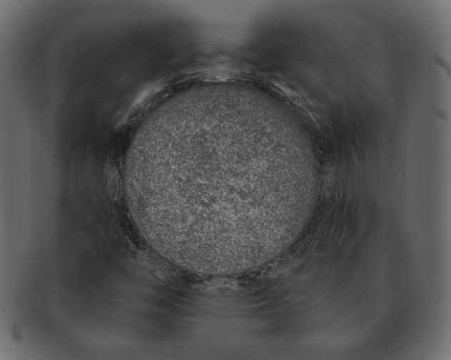 X0000091371446200709071315