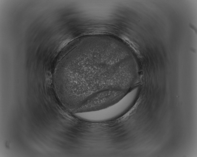 X0000091371449200709071315