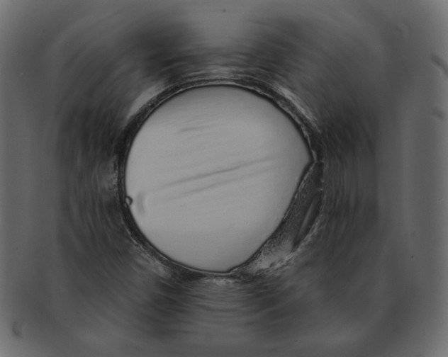 X0000091371450200709071315