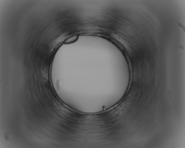 X0000091371451200709071315