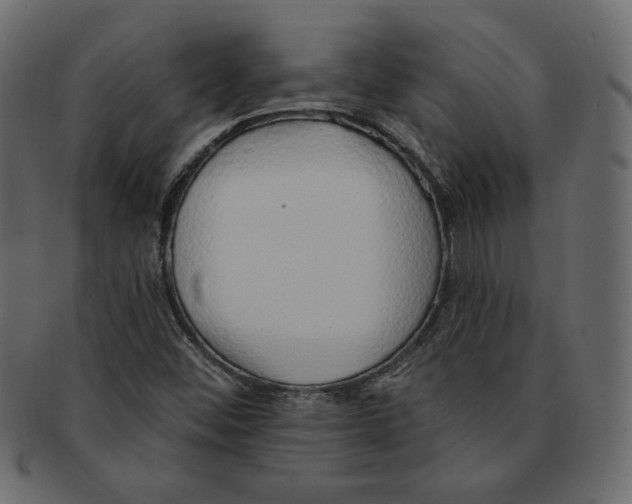 X0000091371452200709071315