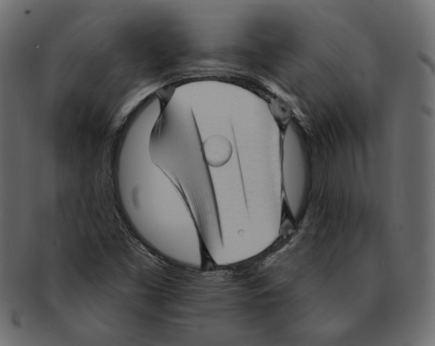 X0000091371453200709071315