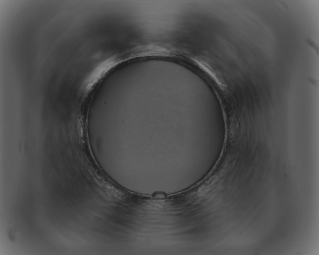 X0000091371455200709071315