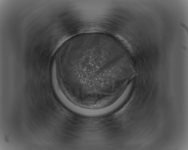 X0000091371457200709071315