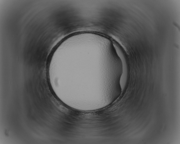 X0000091371460200709071315