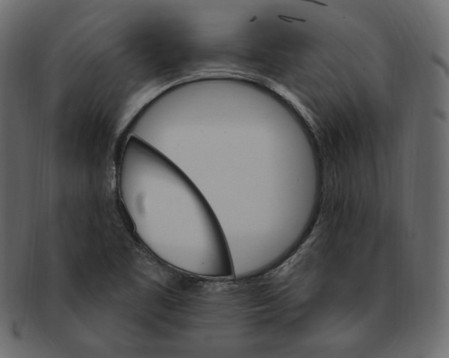 X0000091371461200709071315