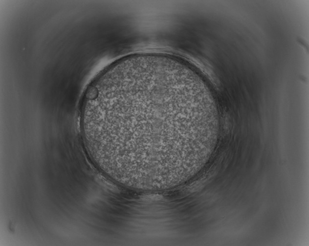 X0000091371462200709071315