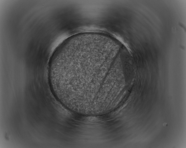 X0000091371463200709071315