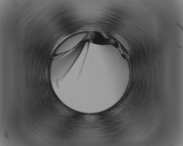 X0000091371465200709071315