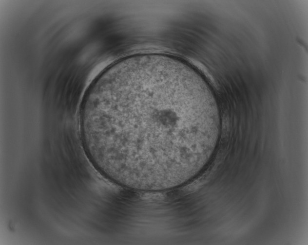 X0000091371466200709071315