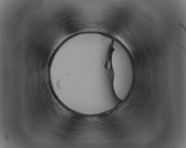 X0000091371468200709071315