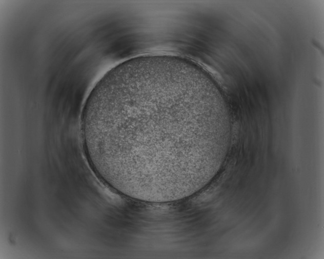 X0000091371470200709071315