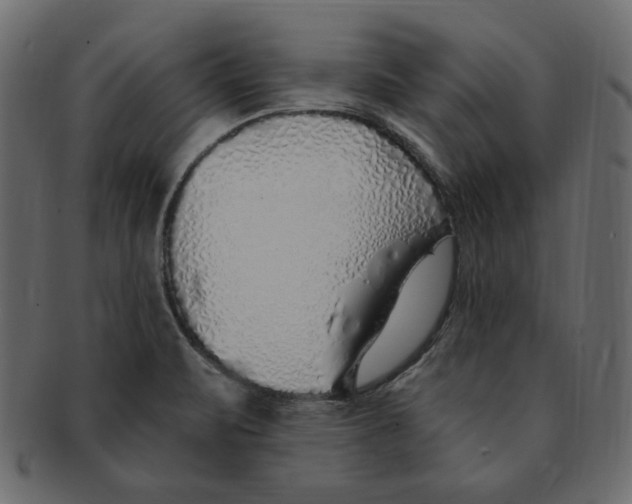 X0000091371471200709071315