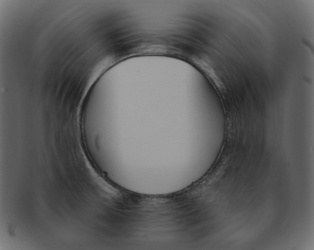 X0000091371475200709071315