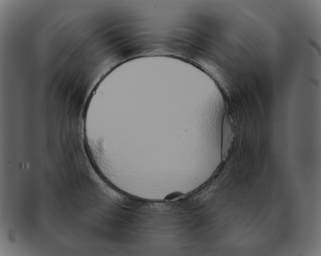 X0000091371476200709071315