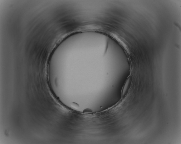 X0000091371477200709071315