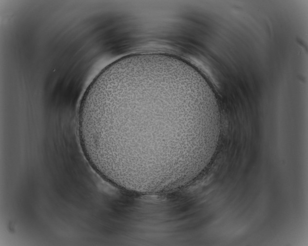 X0000091371478200709071315