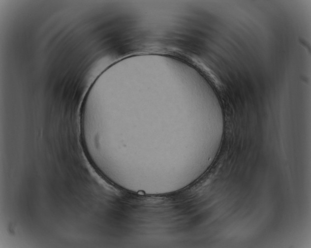 X0000091371479200709071314